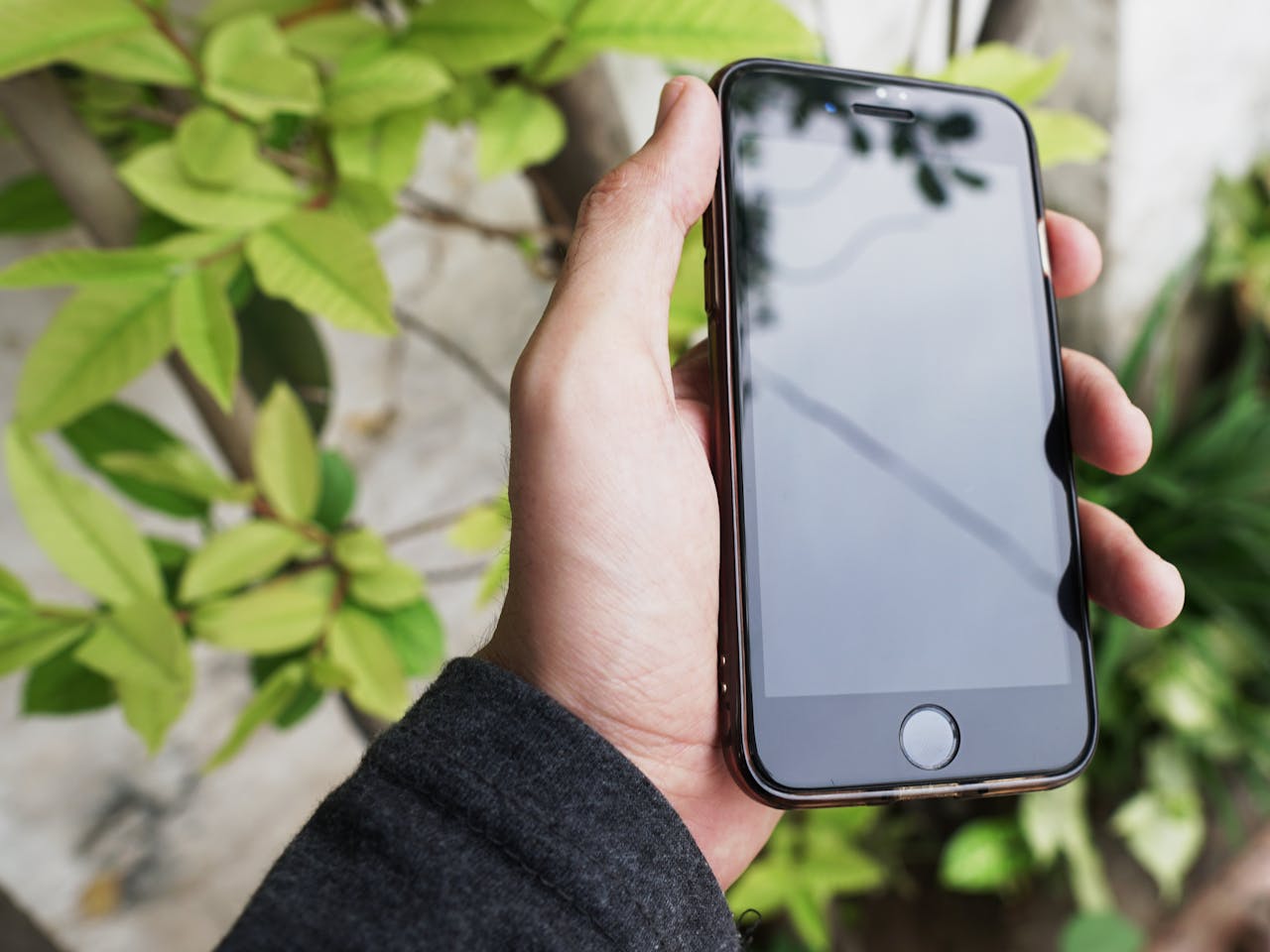 Home A hand holding a smartphone against a background of green leaves, capturing a modern lifestyle moment.